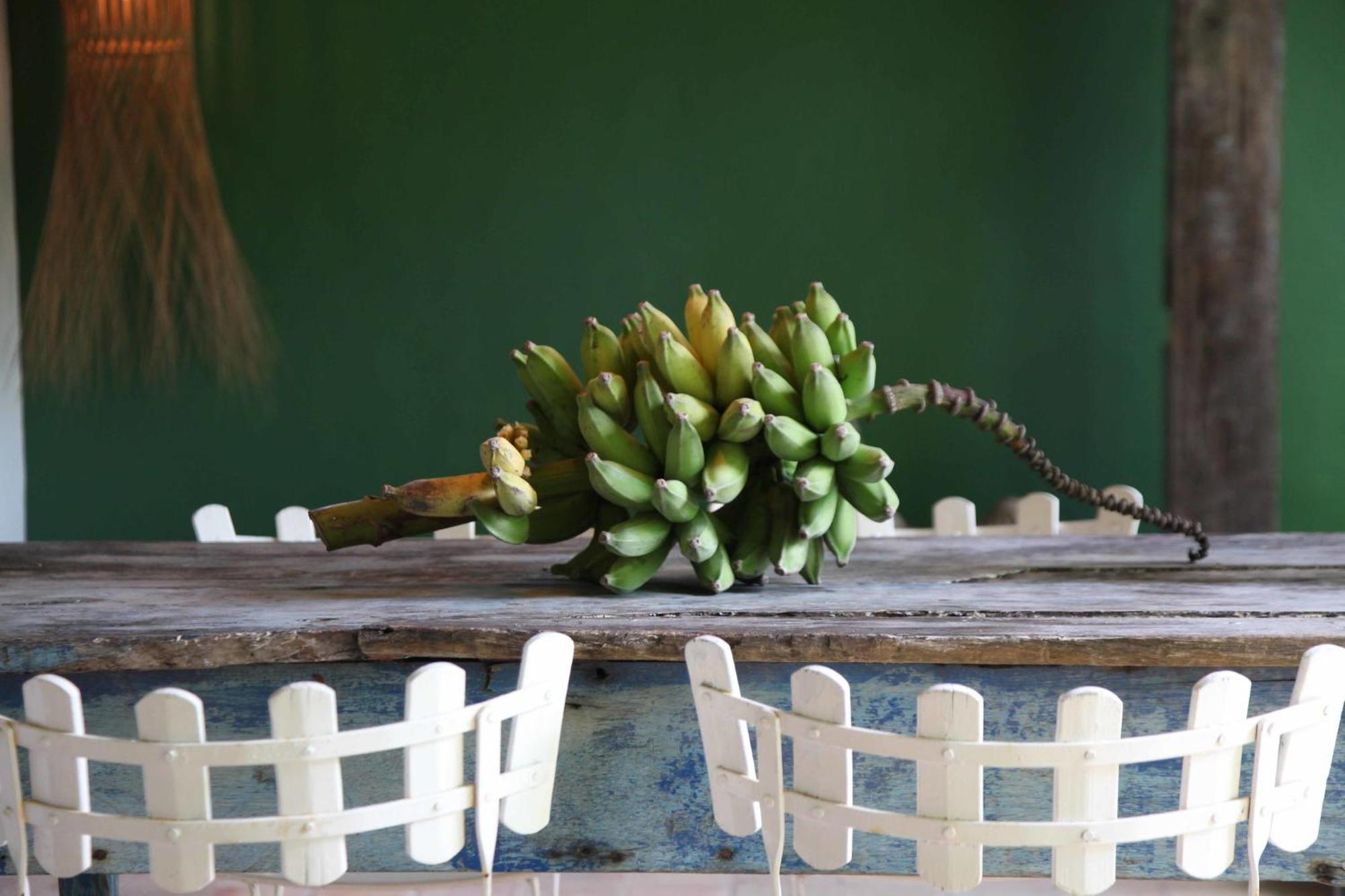 Uxua Casa Hotel & Spa Trancoso Zewnętrze zdjęcie